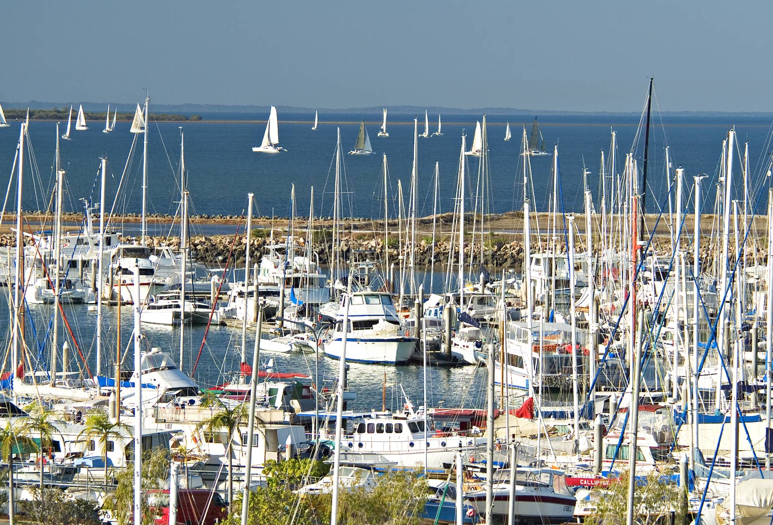 Yachts at Manly Boat Harbour, Brisbane